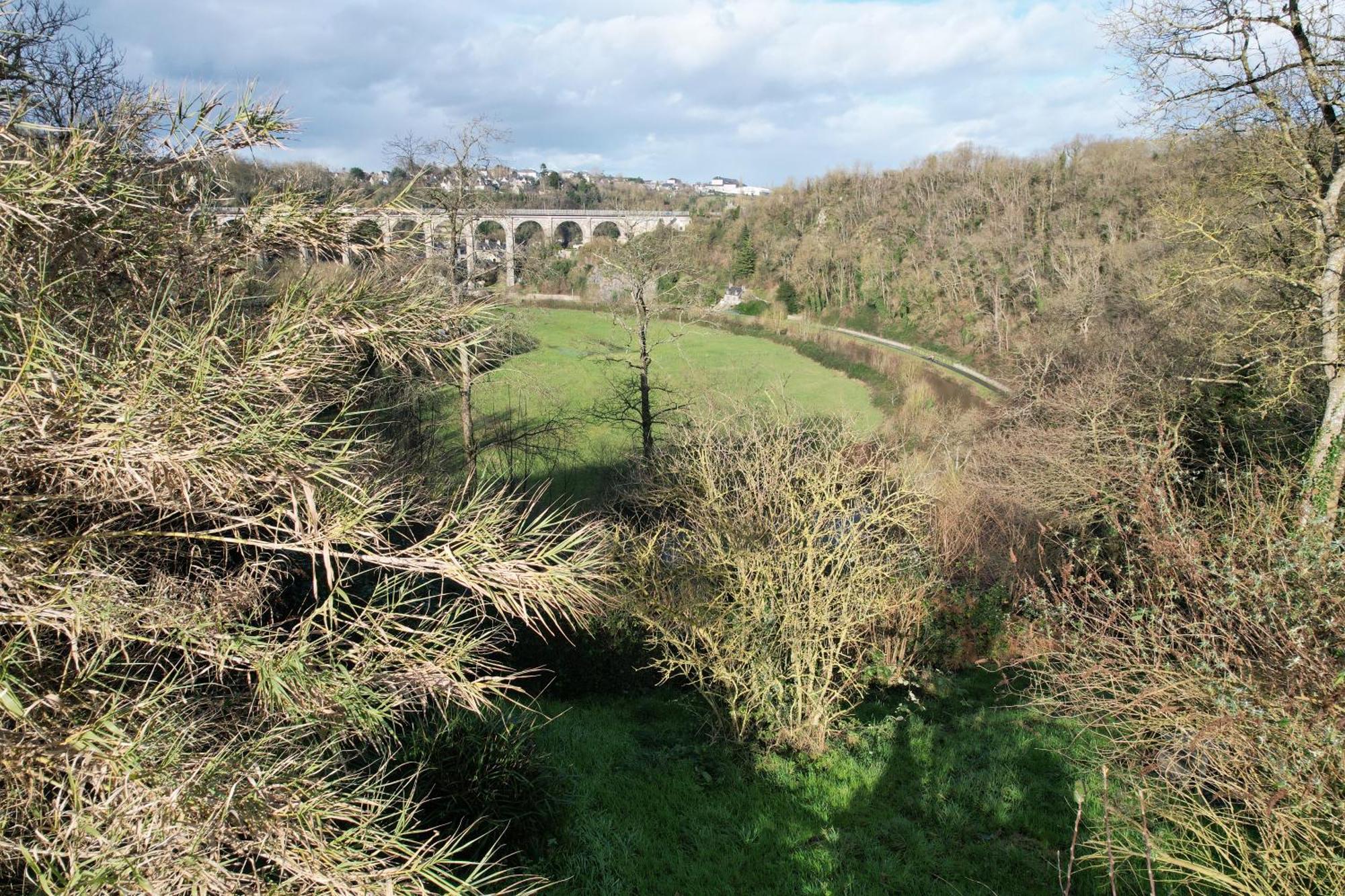 O Bois Dormant- Vue Rance River Et Viaduc De Dinan * Lanvallay